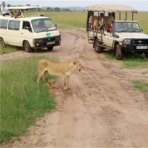 Masai Mara 3 Day Safari From Kisumu
