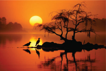 Jezioro Wiktorii, Kisumu