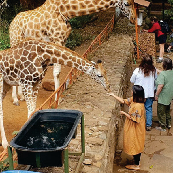 Półdniowe rodzinne safari w Nairobi