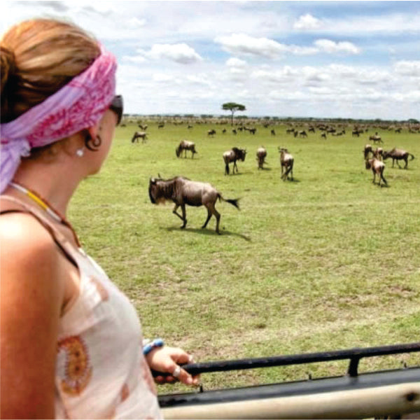 woman watching wildebeest on green grass field during daytime, Masai Mara, Kenya